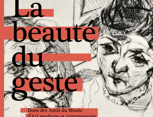 Exposition La beauté du geste, 30 ans d’acquisitions des AMAMCS